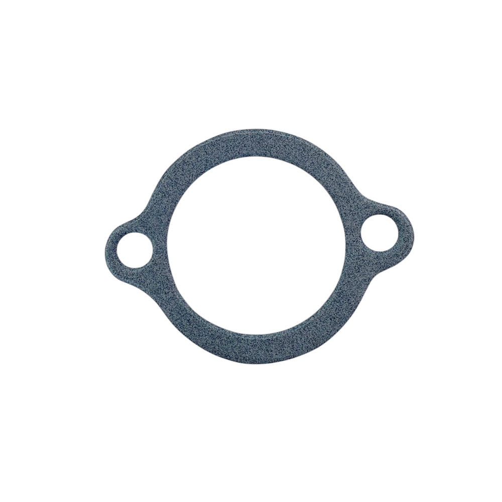 V8 Thermostat Gasket ERR2429